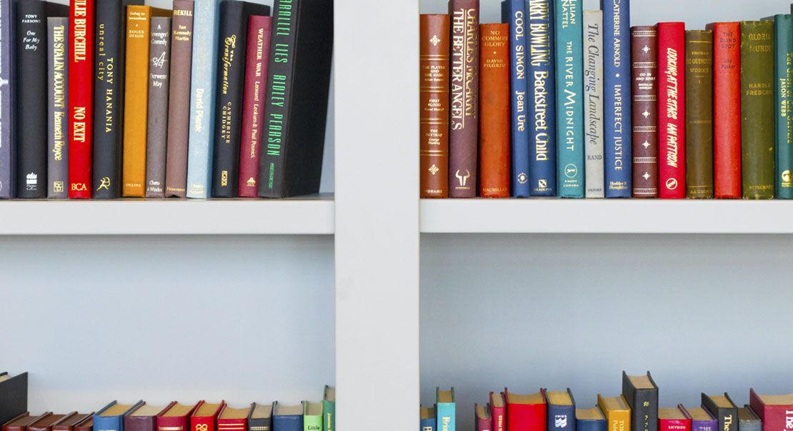 Book Shelf with Books